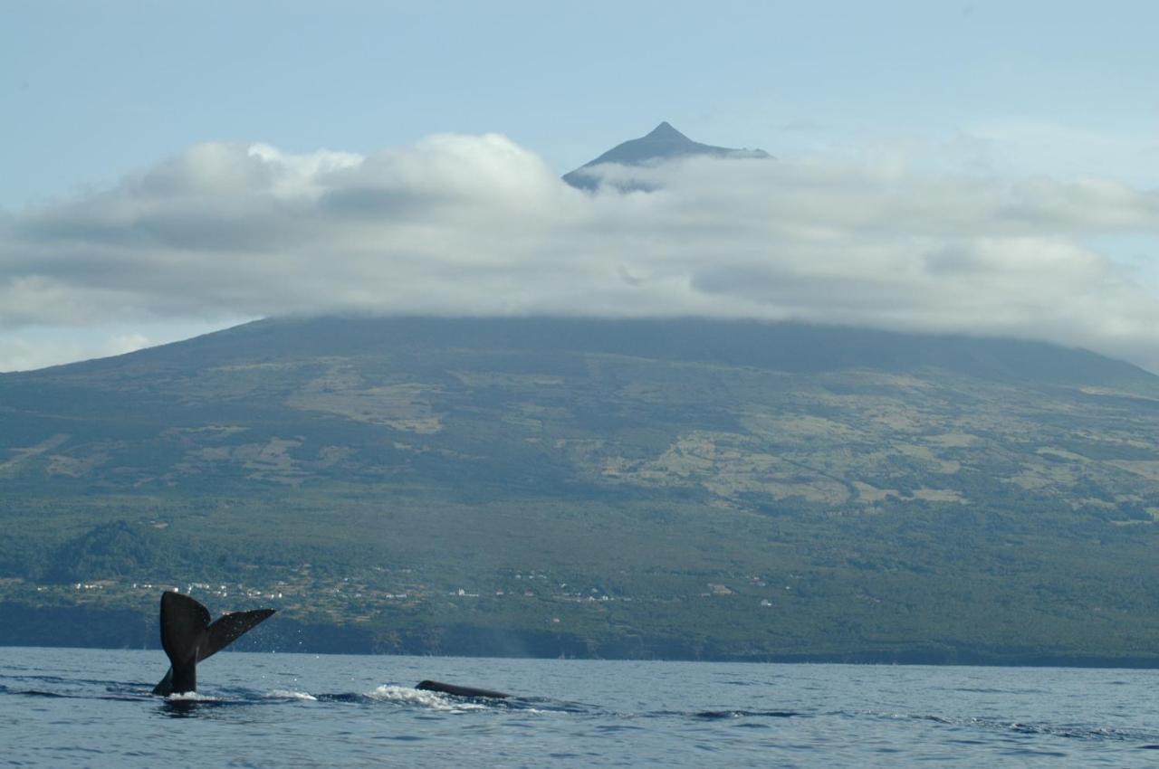 Casa Do Cais Farm stay Monte (Azores)